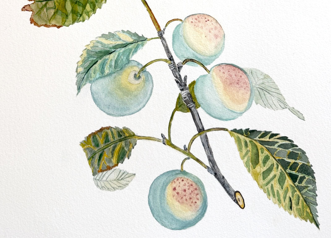 Spring Transitions | New Moon in Taurus