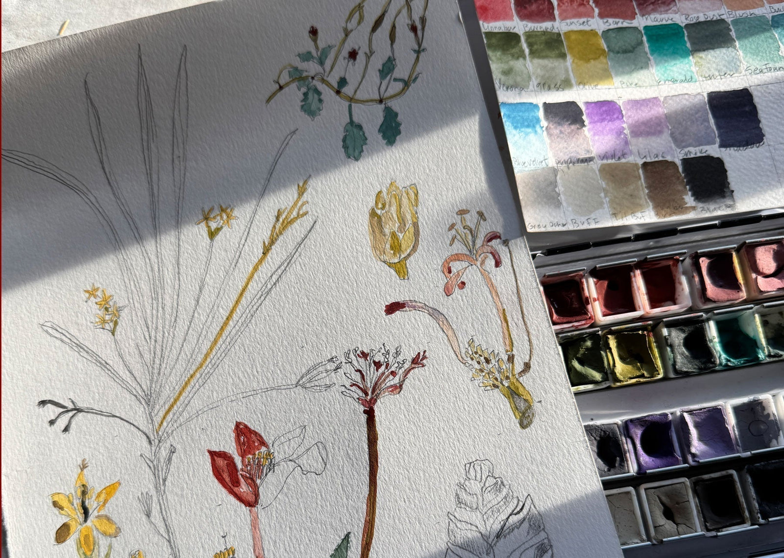 watercolor sketches and an artist's palette in the sunlight