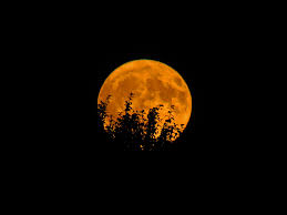 Moon image