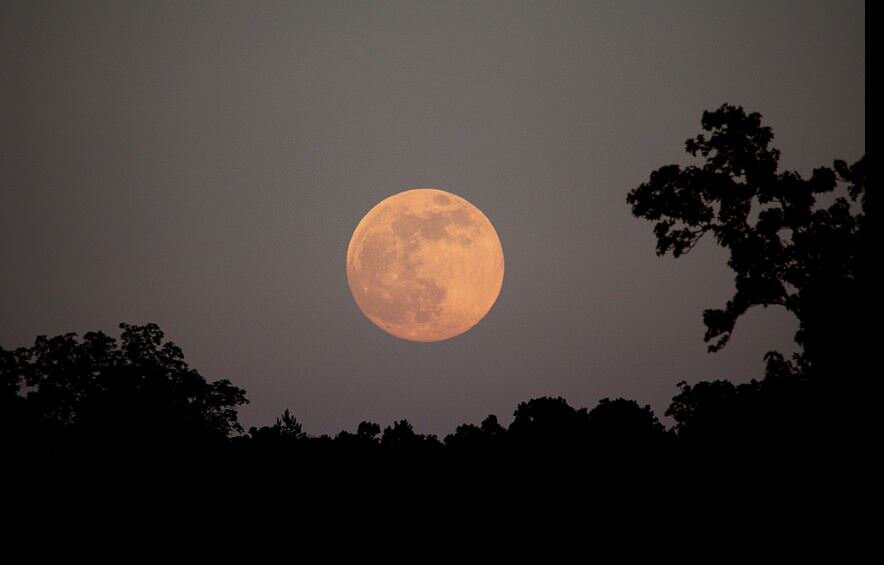 Hunter Full Moon in Leo