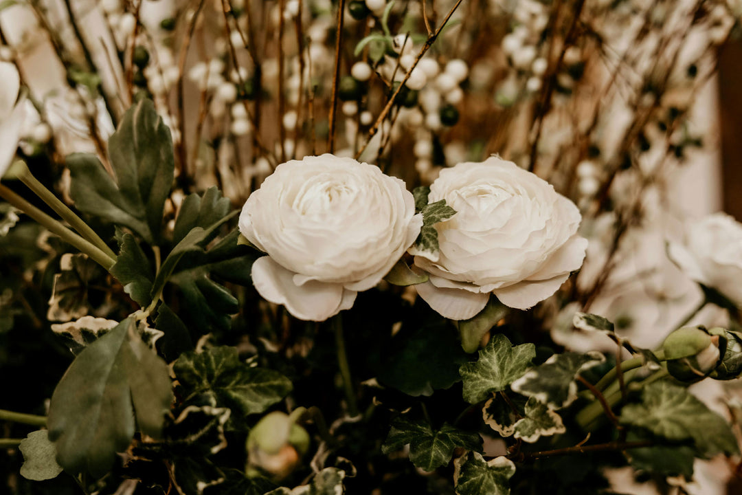 A Daily Practice of Forgiveness | Full Moon in Gemini to Cancer