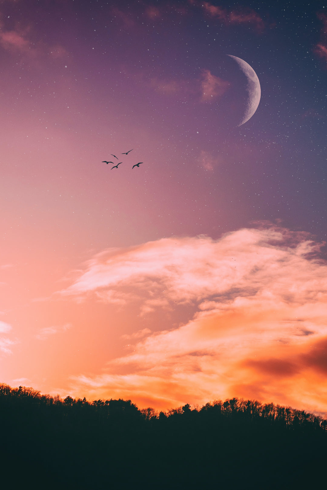 Waxing Gibbous Moon in Cancer