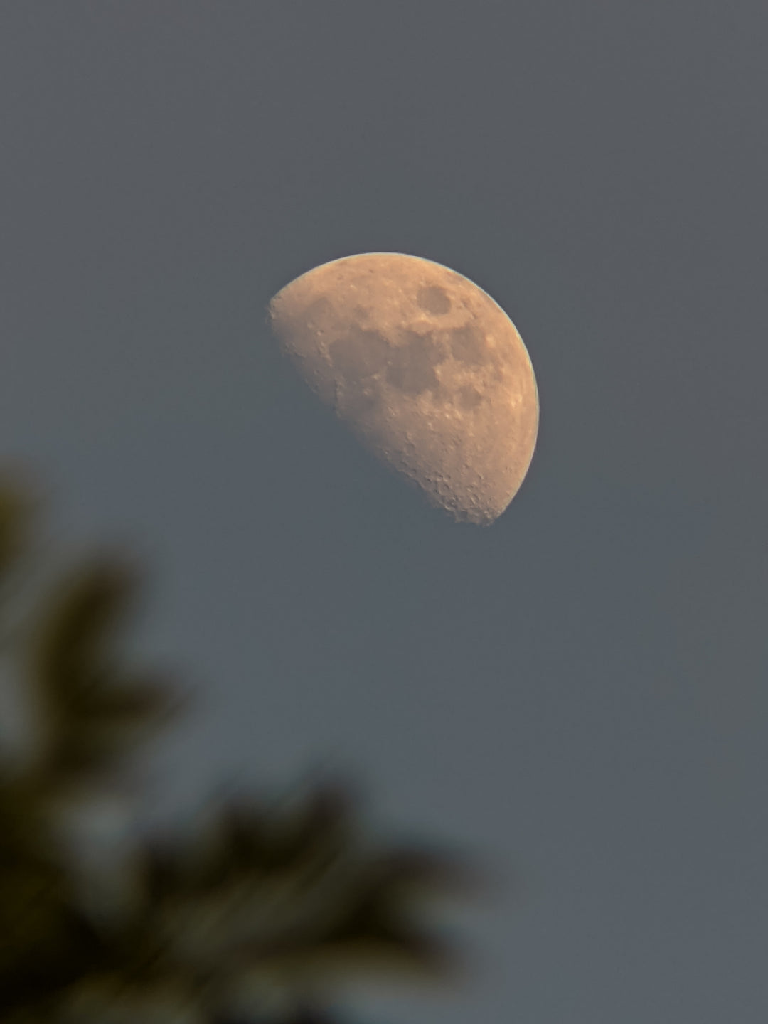 Waxing Crescent Moon in Pisces