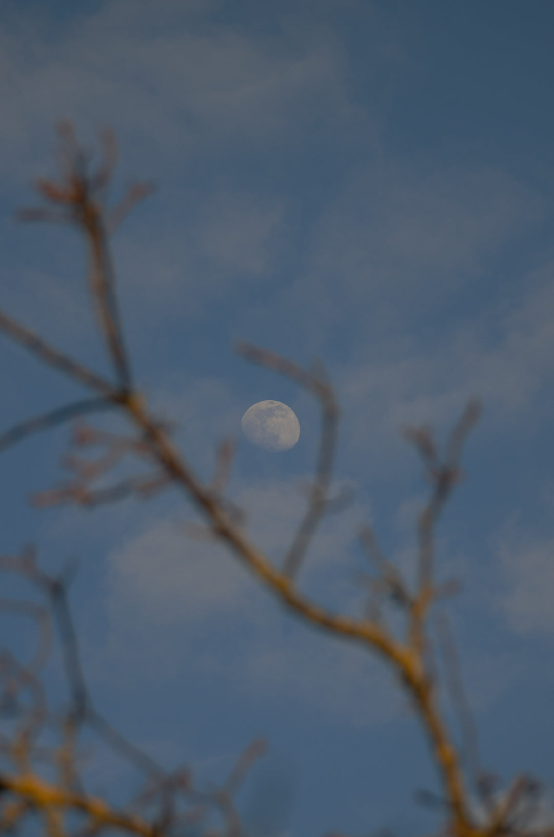 Disseminating Moon In Libra