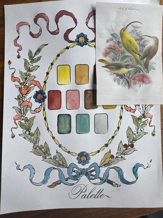 Color Study Pages: Paint Palette Digital Download