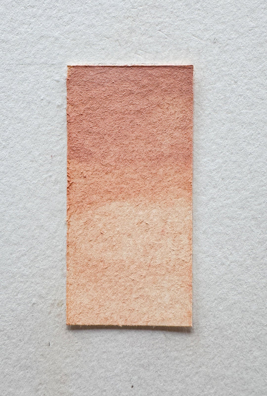 Blush watercolor swatch