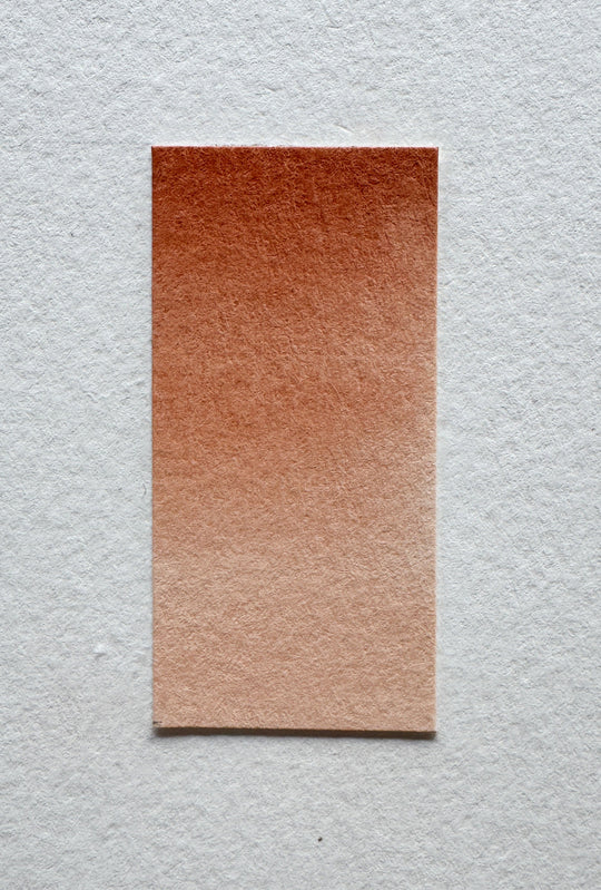 Burnt Orange watercolor swatch