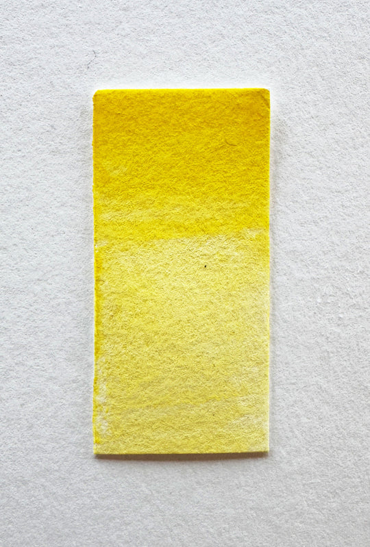 Canary watercolor swatch