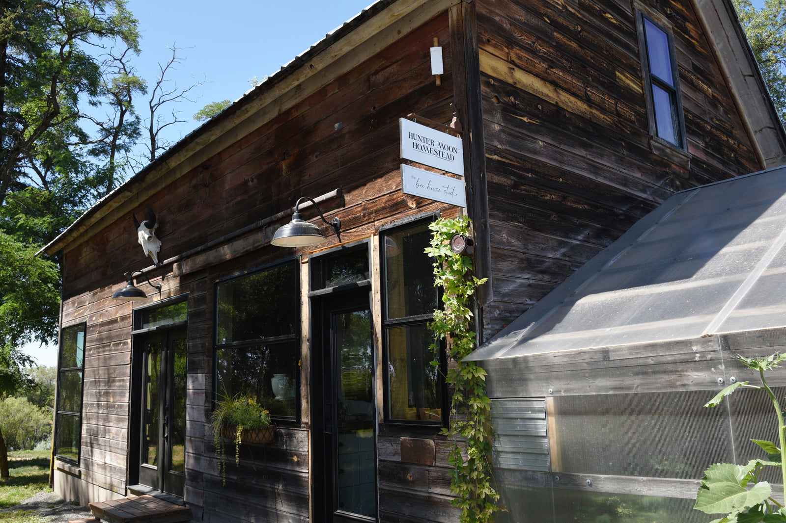 The bee house studio at Hunter Moon Homestead