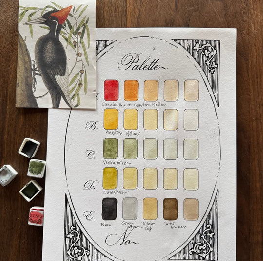 Palette of watercolor paint