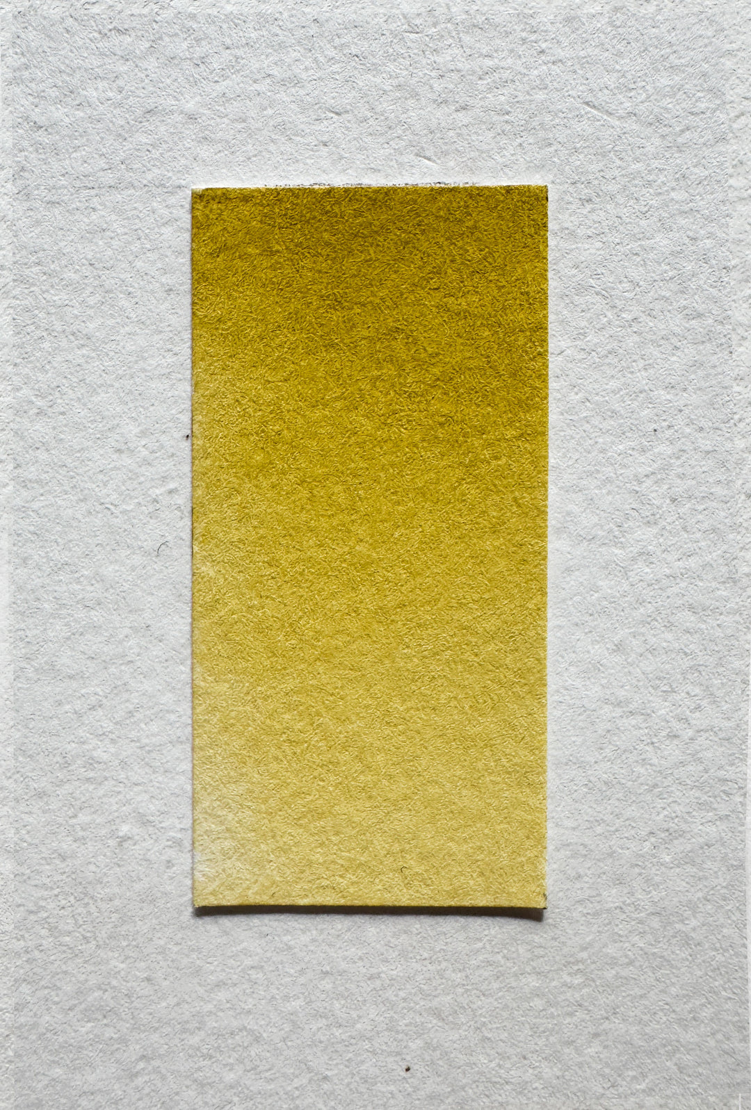 Olive watercolor swatch