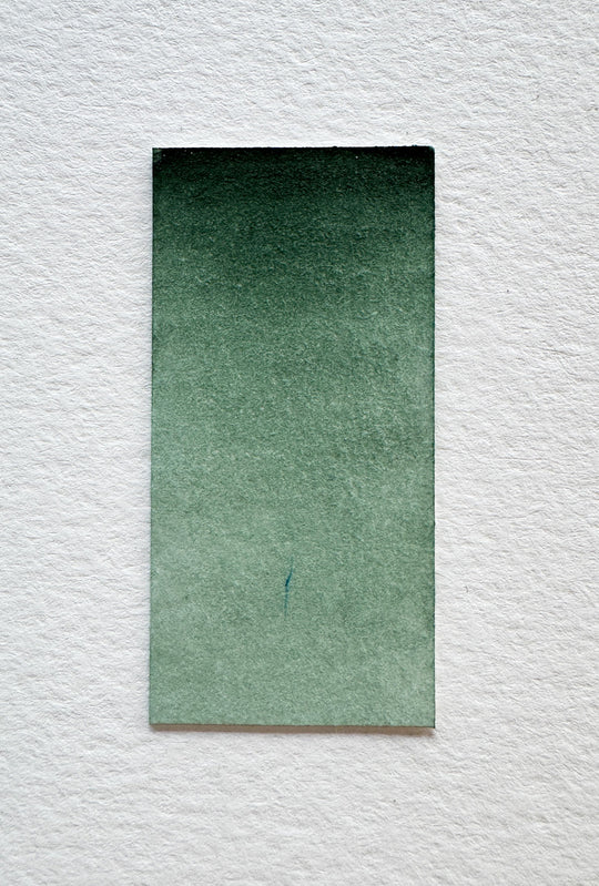 Pine handmade watercolor