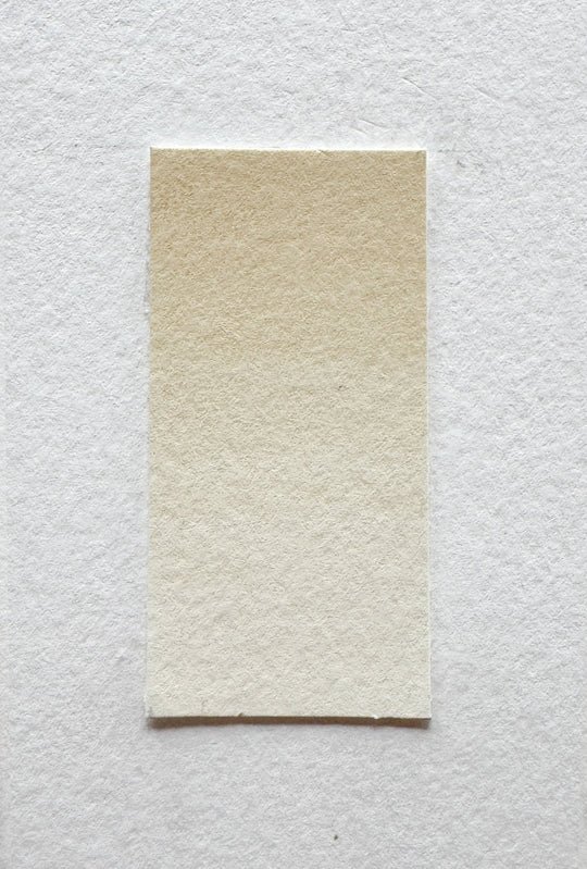 Titanium Buff watercolor swatch