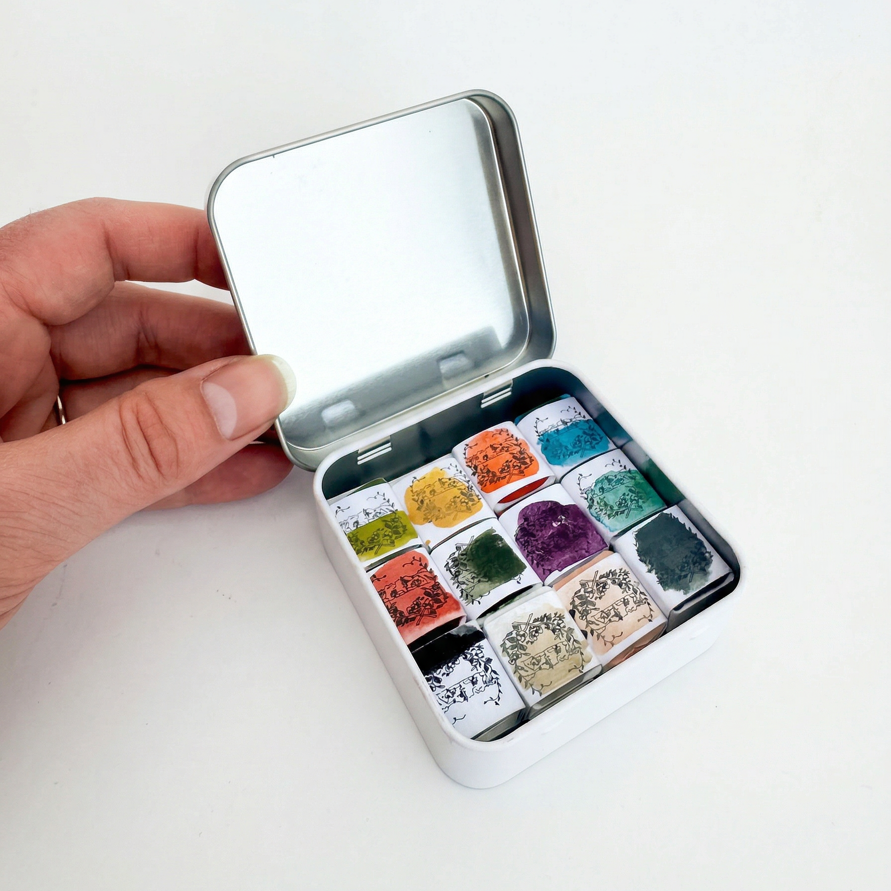Maria Sibylla Merian 12-pan watercolor paint set