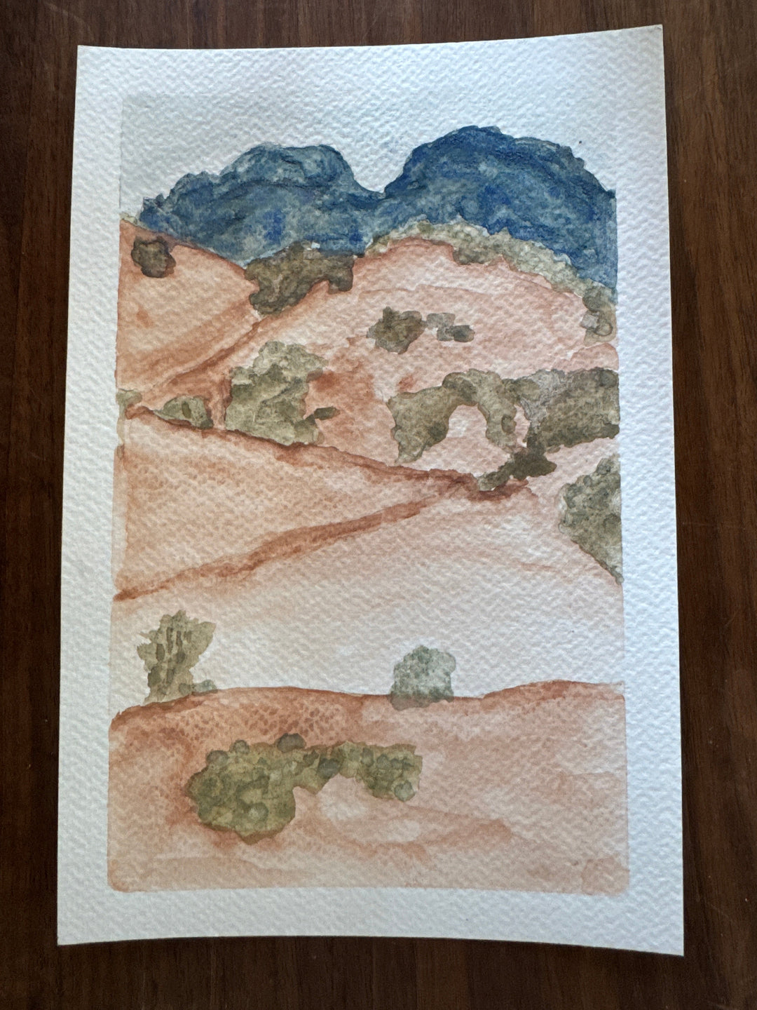desert landscape watercolor painting from raw pigments
