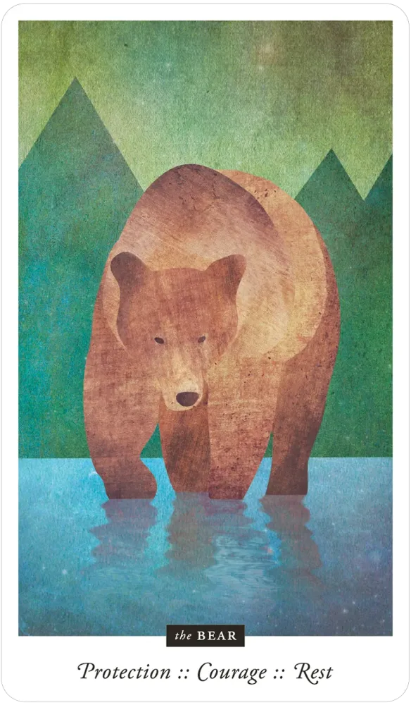 Familiar Field Oracle Divination deck: bear