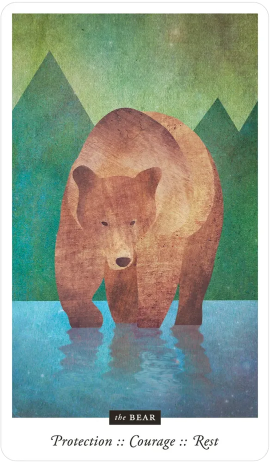 Familiar Field Oracle Divination deck: bear