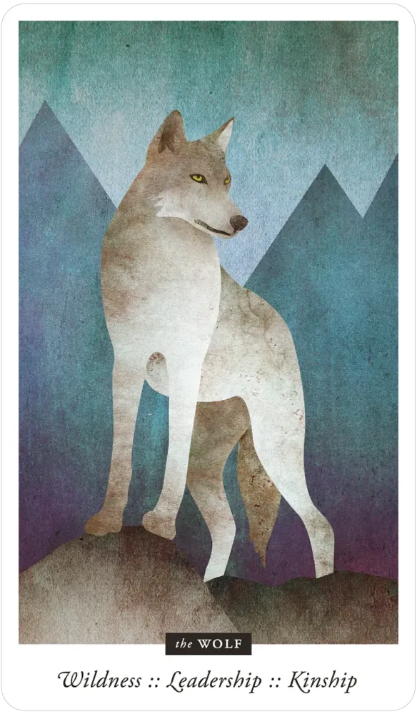 Familiar Field Oracle Divination deck: wolf