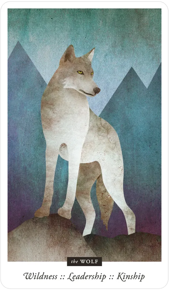 Familiar Field Oracle Divination deck: wolf