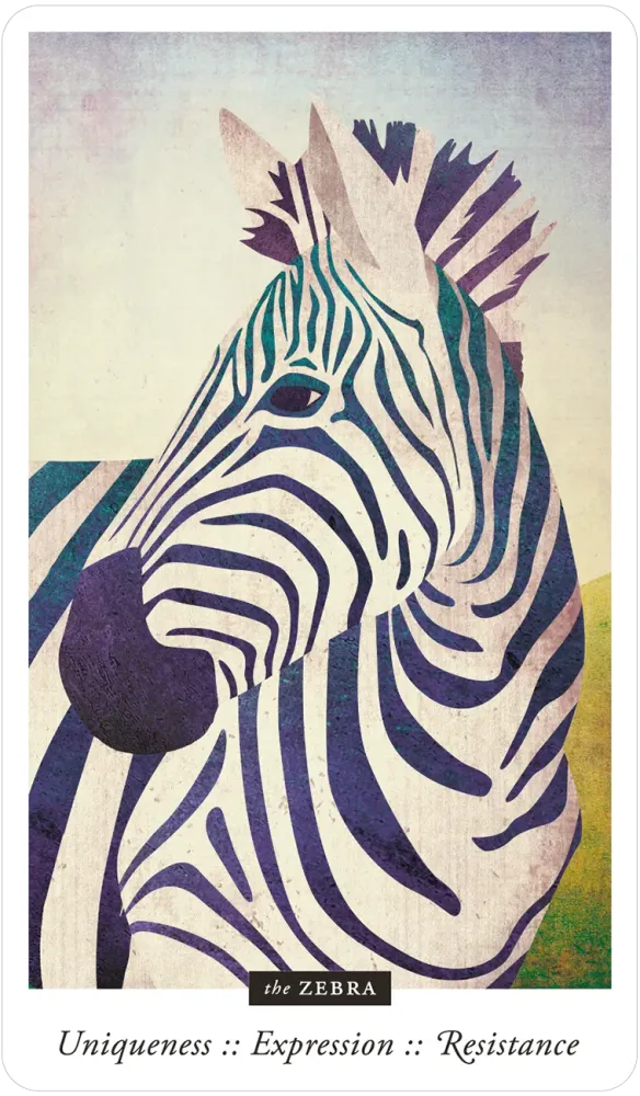 Familiar Field Oracle Divination deck: zebra