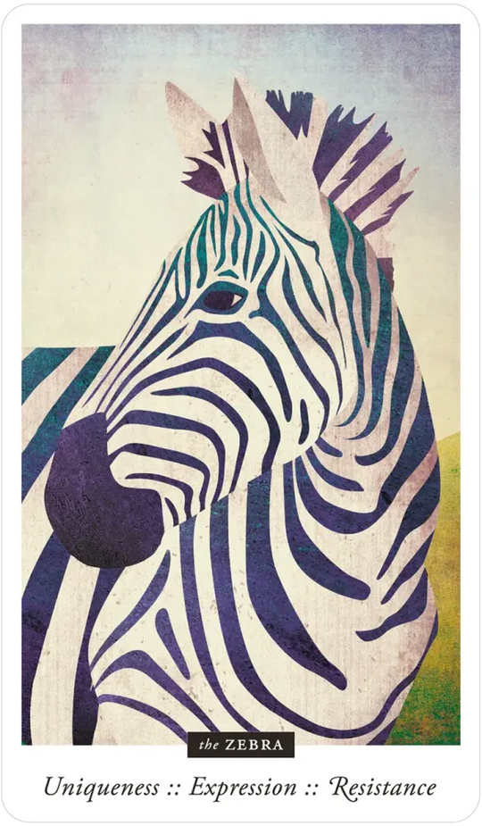 Familiar Field Oracle Divination deck: zebra