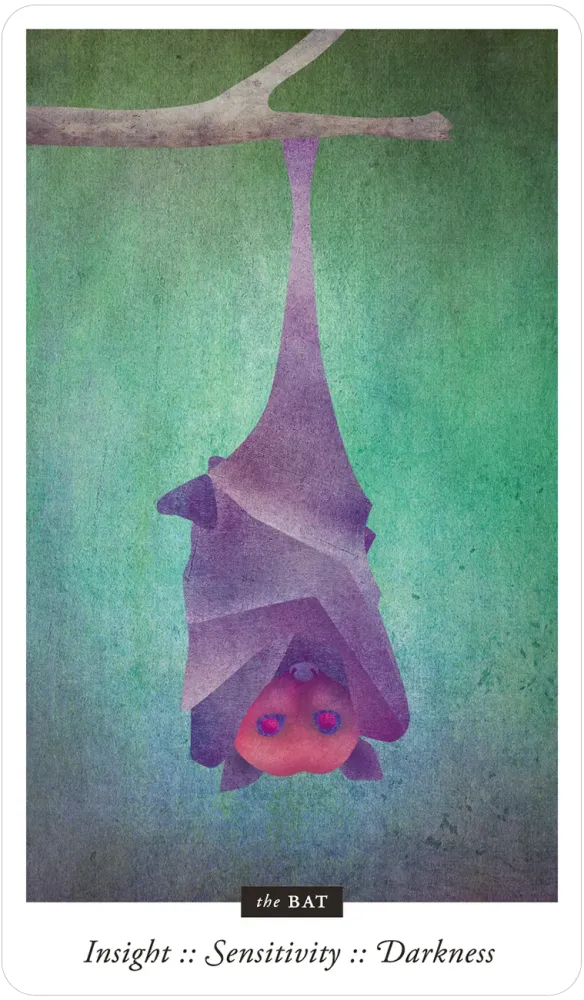 Familiar Field Oracle Divination deck: bat