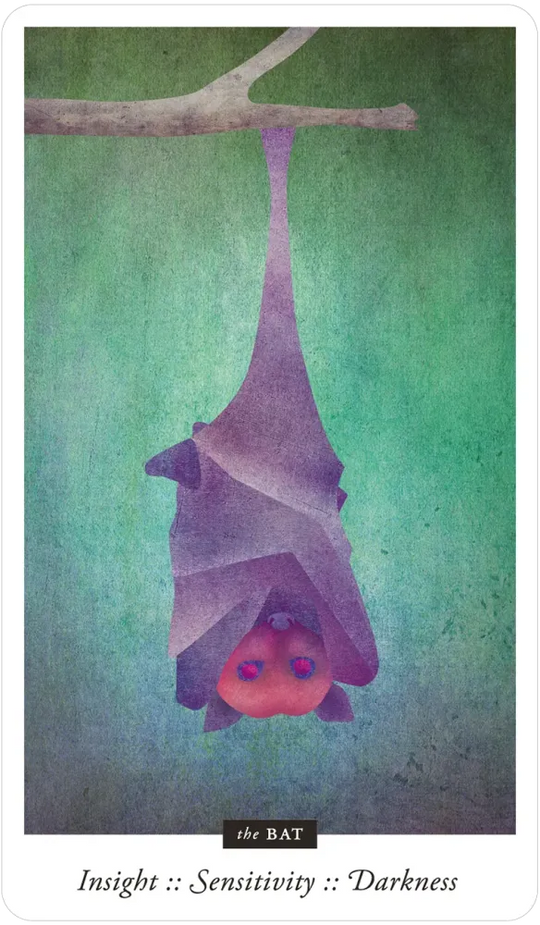 Familiar Field Oracle Divination deck: bat