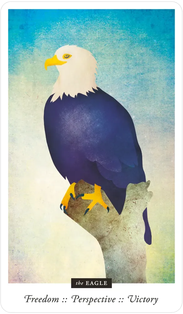 Familiar Field Oracle Divination deck: Eagle