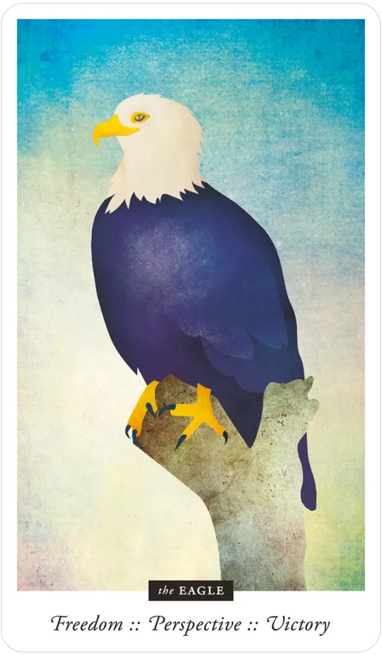 Familiar Field Oracle Divination deck: Eagle