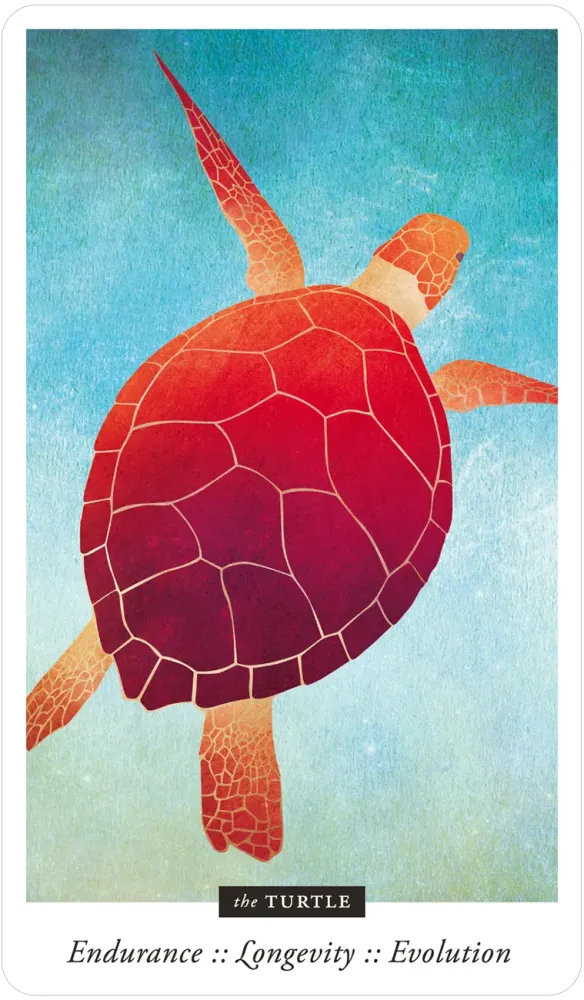 Familiar Field Oracle Divination deck: Turtle