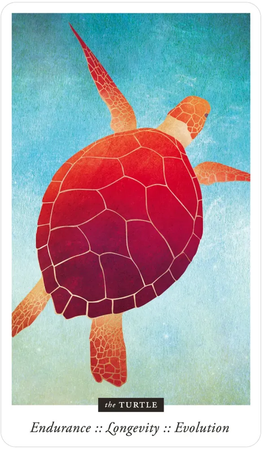 Familiar Field Oracle Divination deck: Turtle