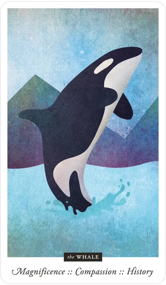 Familiar Field Oracle Divination deck: whale