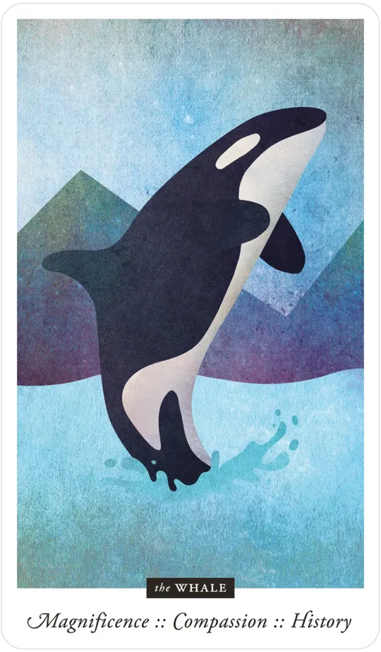 Familiar Field Oracle Divination deck: whale