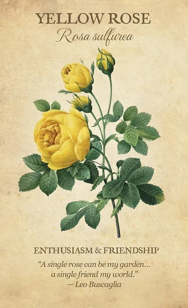 botanical inspirations yellow rose