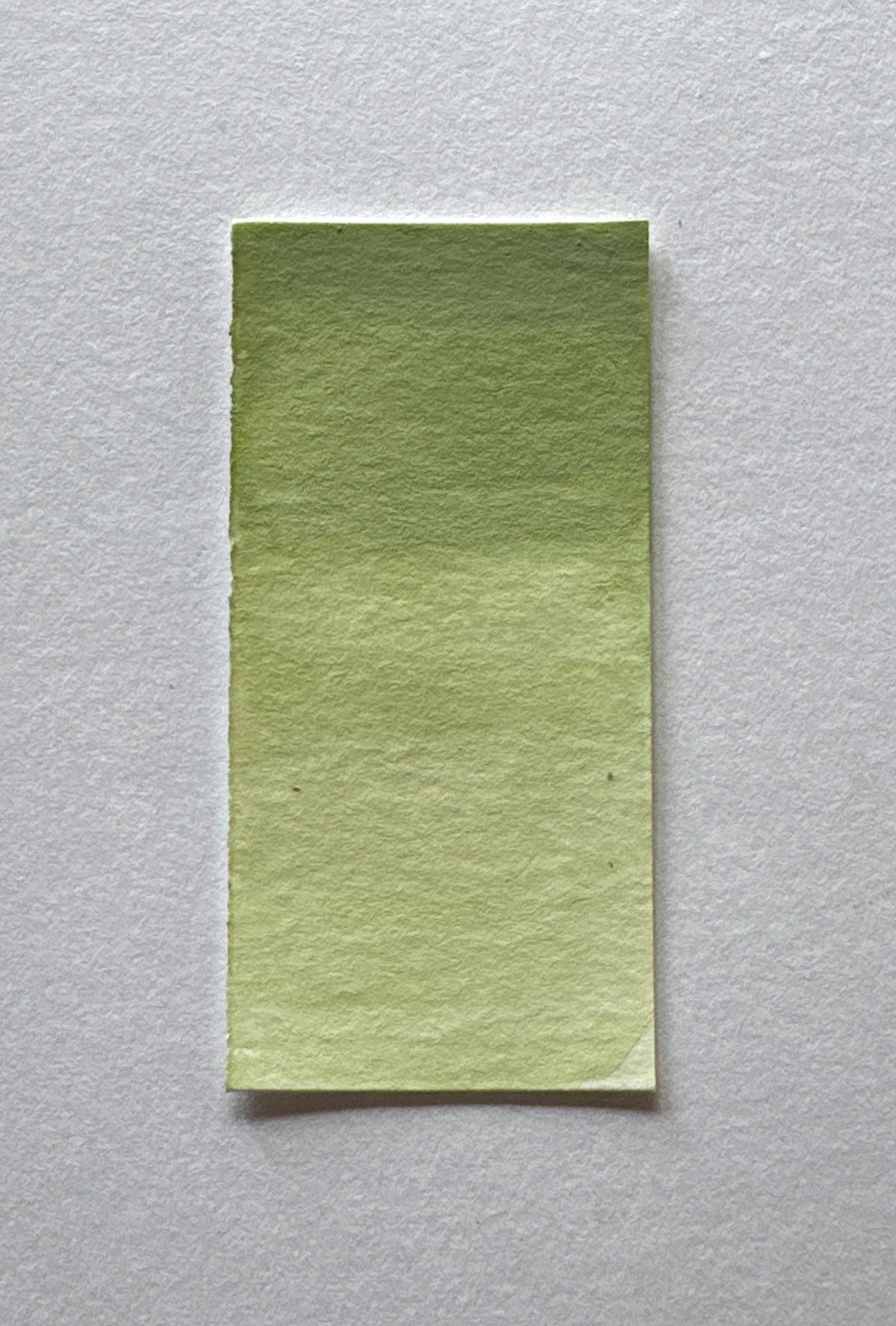 Celadon watercolor