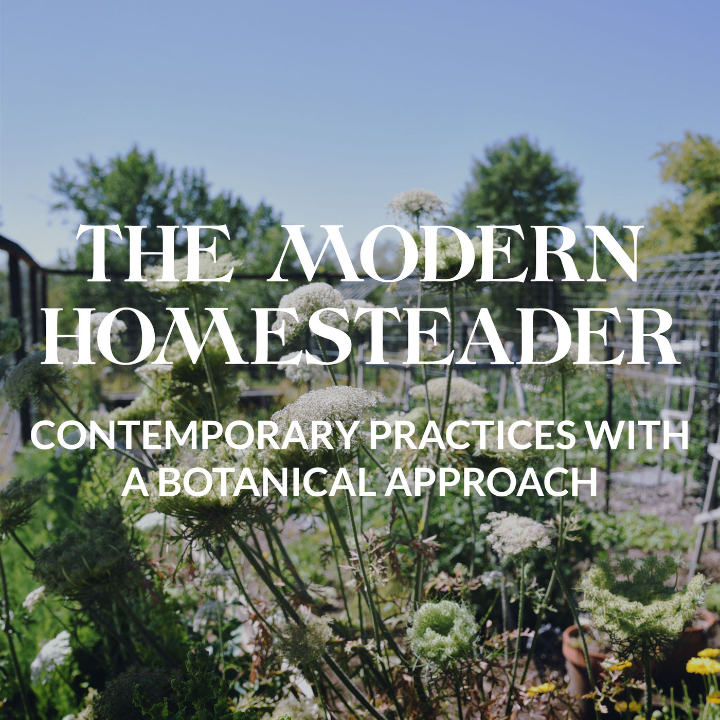 The Modern Homesteader