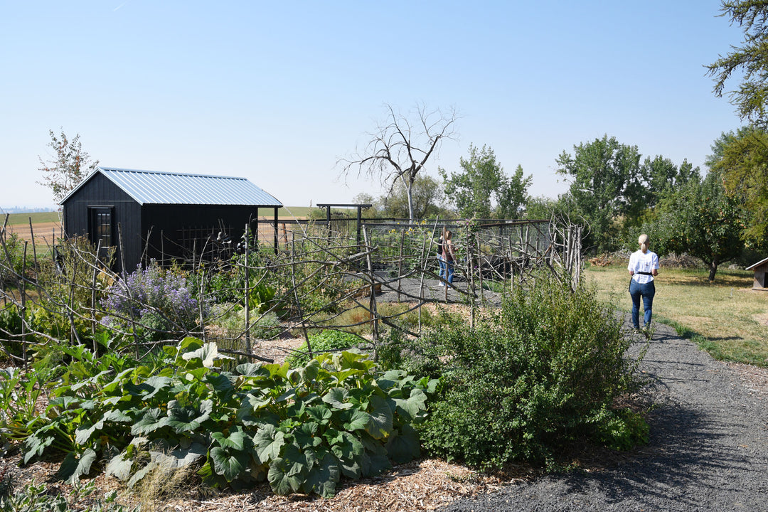 The hunter moon homestead garden