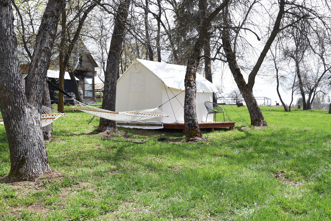 Patio and hammock at the tent