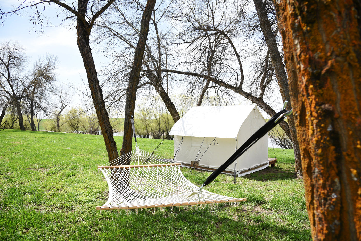 Private hammock and glamping tent