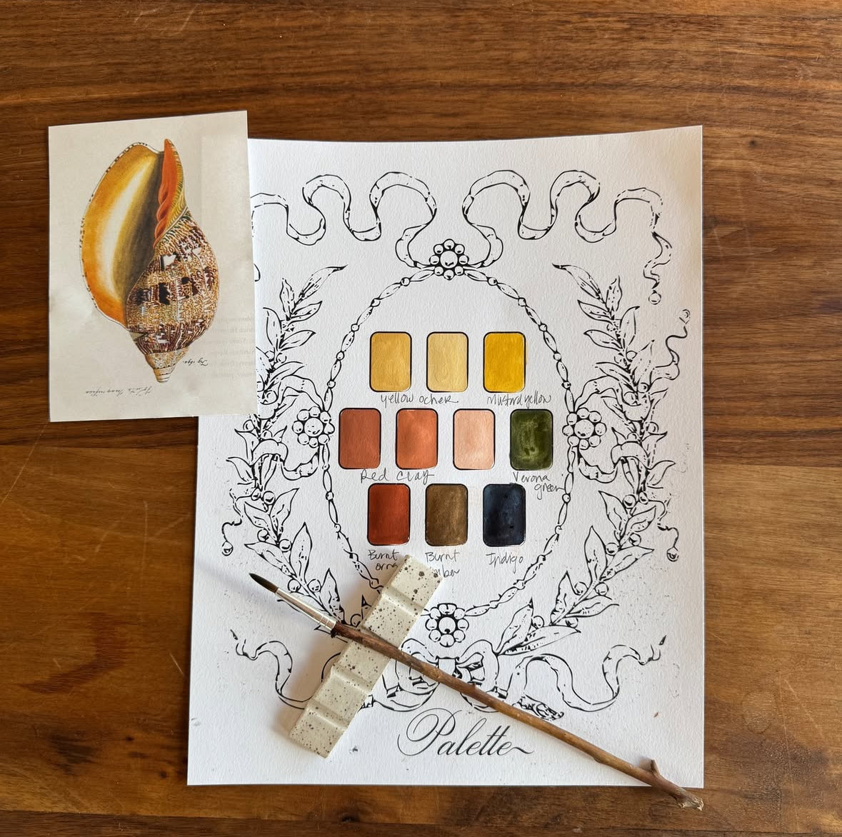 Seashell watercolor palette