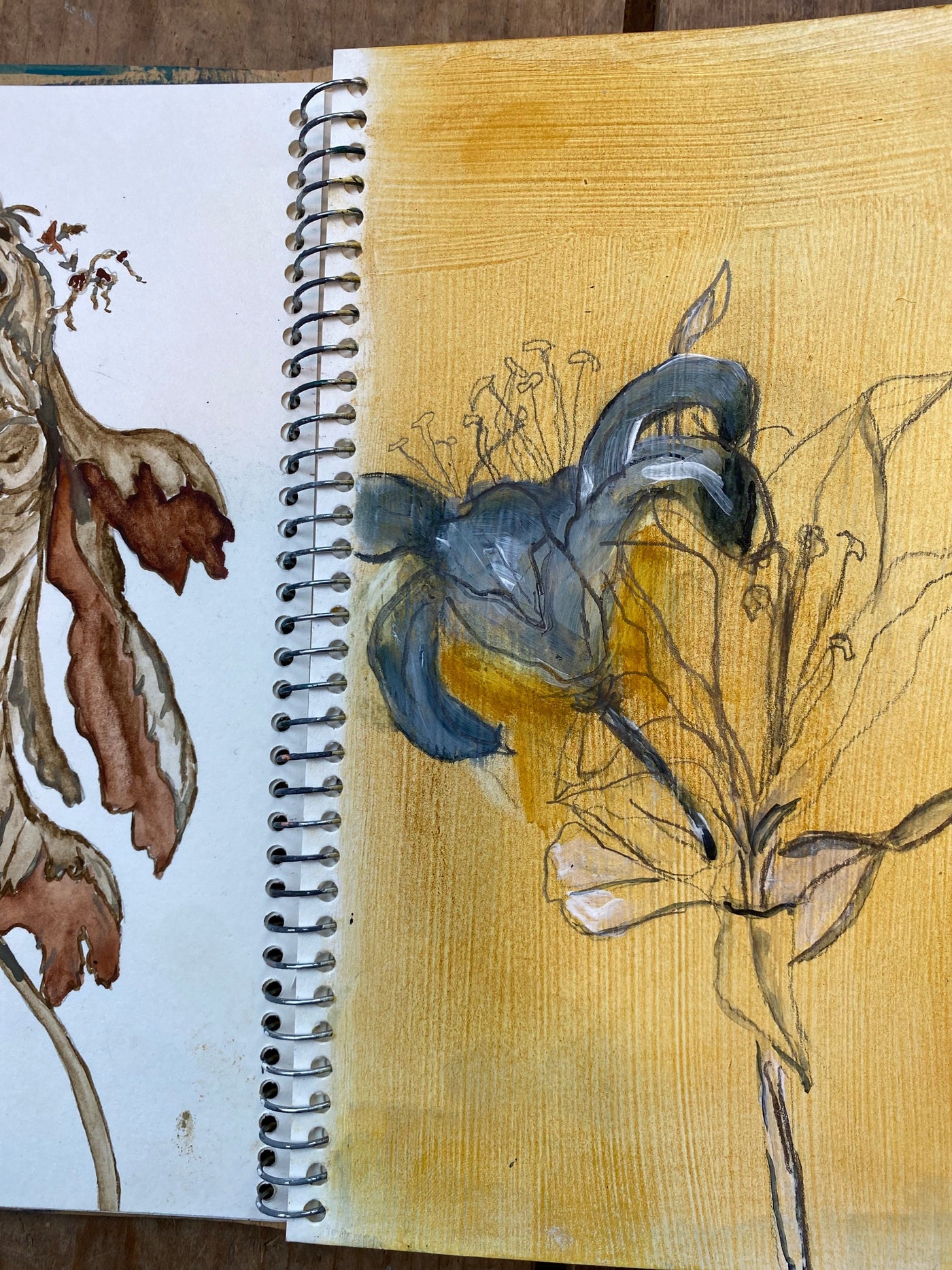Floral sketches in an artist's daily sketchbook