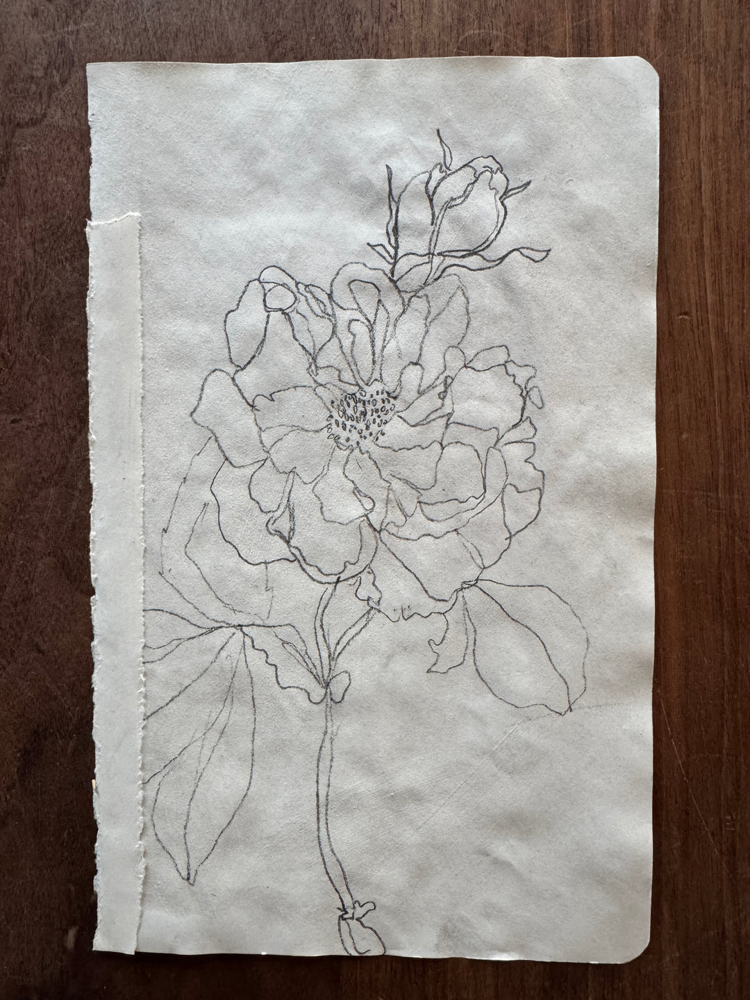 Reimagining the past online art workshop contour sketch