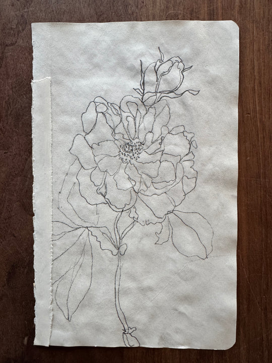 Reimagining the past online art workshop contour sketch