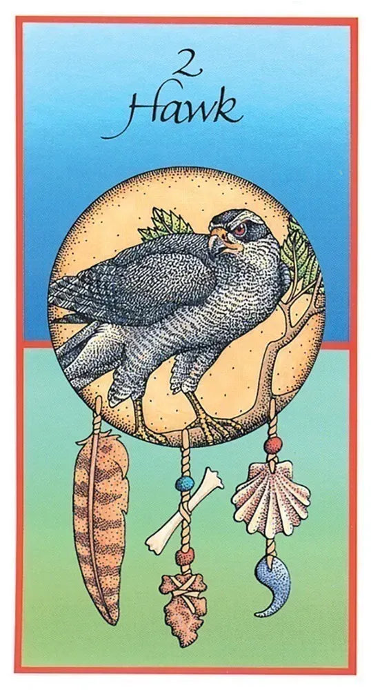 Medicine cards Hawk