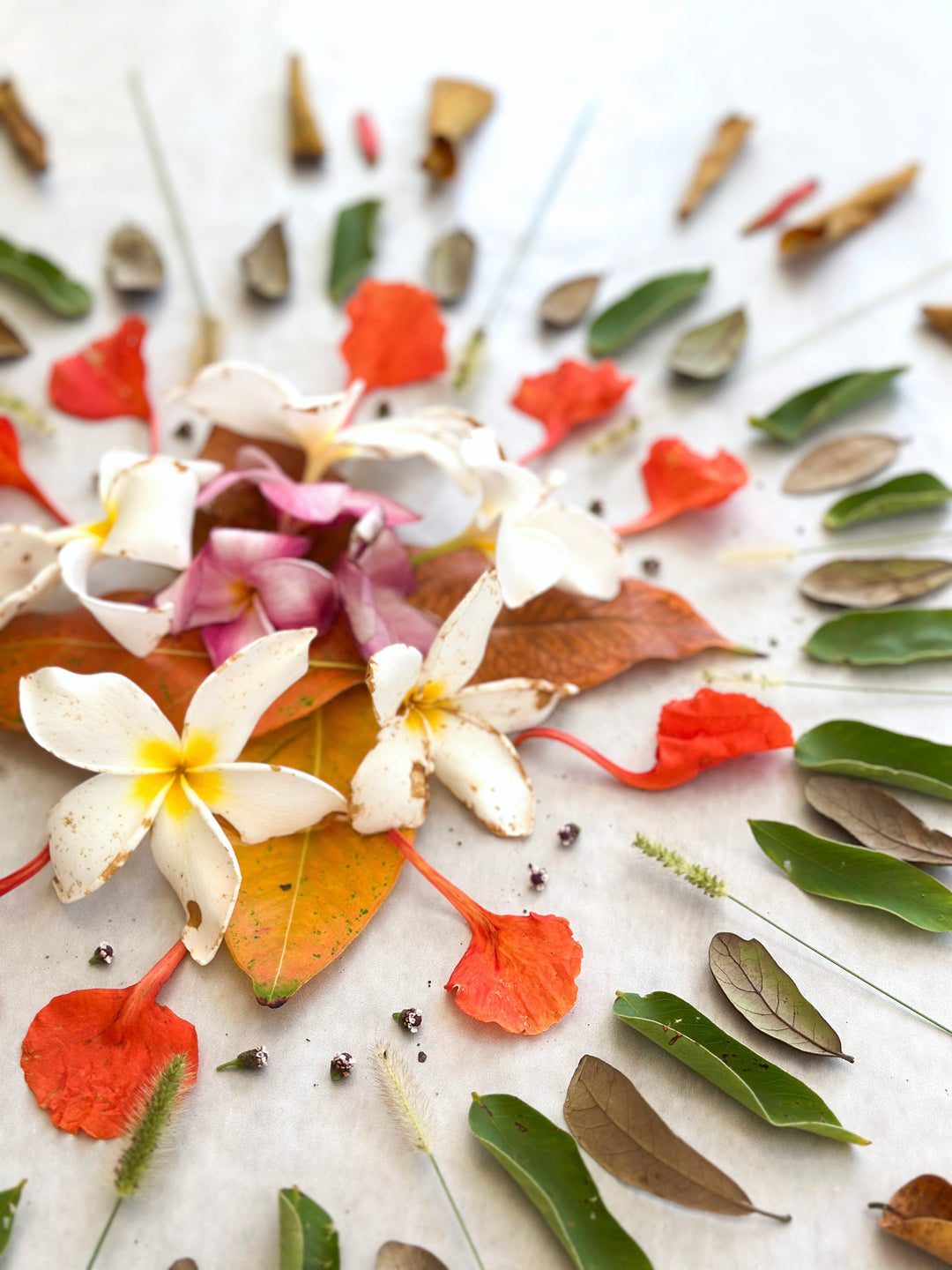 Sara Schroeder floral mandala