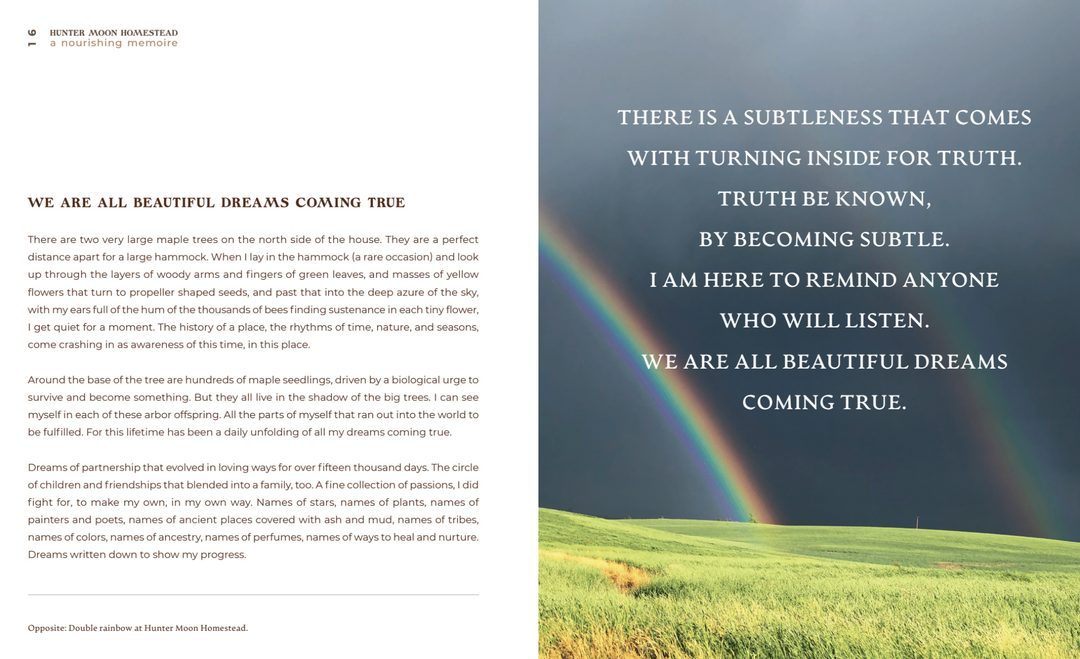 chapter preview for a nourishing memoire by kate poole