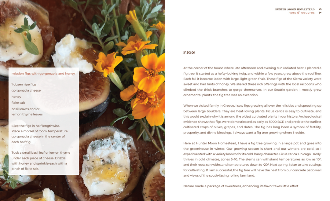 mission figs with gorgonzola and honey recipe preview for a nourishing memoire by kate poole