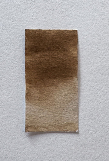 Sepia Handmade Watercolor