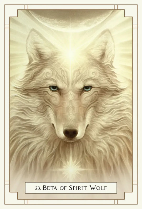 white light oracle deck beta of spirit wolf