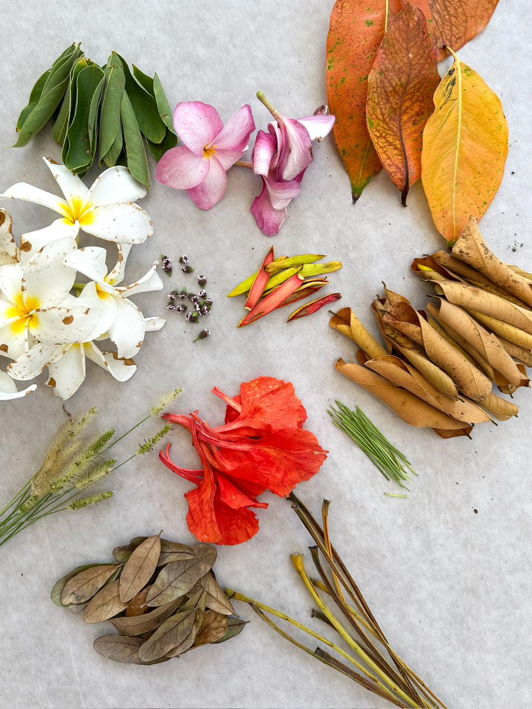 Sara Schroeder foraged florals